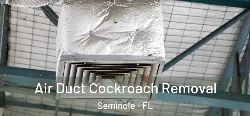 Air Duct Cockroach Removal Seminole - FL