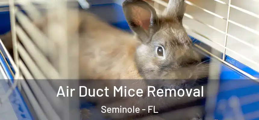 Air Duct Mice Removal Seminole - FL