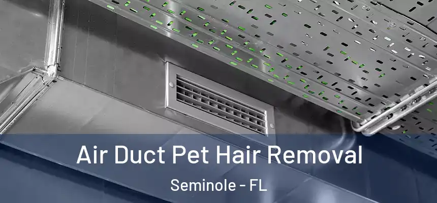 Air Duct Pet Hair Removal Seminole - FL