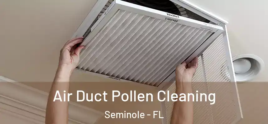 Air Duct Pollen Cleaning Seminole - FL