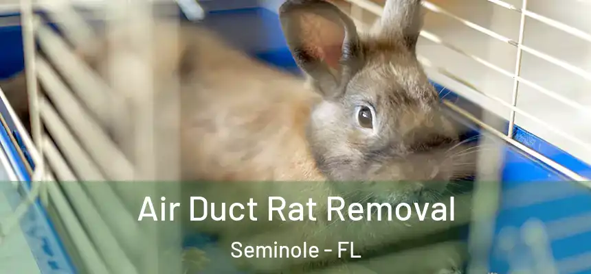 Air Duct Rat Removal Seminole - FL