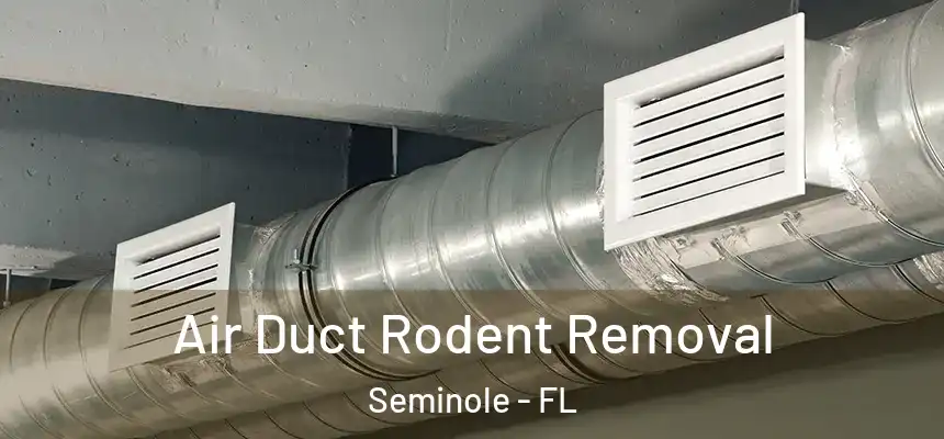 Air Duct Rodent Removal Seminole - FL