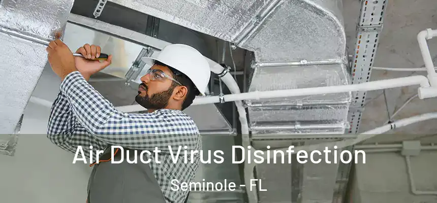 Air Duct Virus Disinfection Seminole - FL