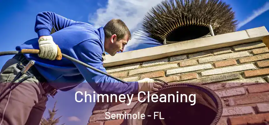 Chimney Cleaning Seminole - FL