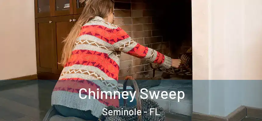 Chimney Sweep Seminole - FL