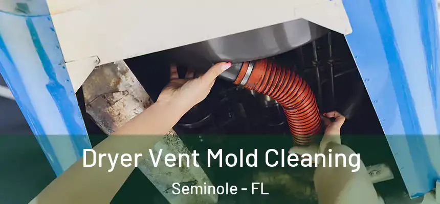 Dryer Vent Mold Cleaning Seminole - FL