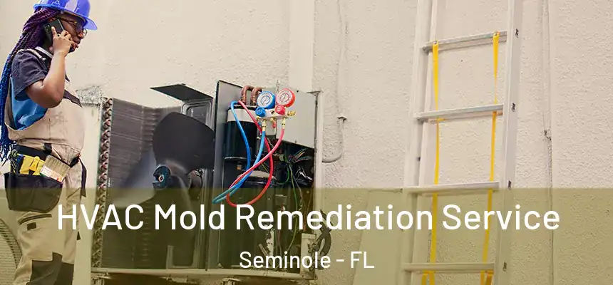 HVAC Mold Remediation Service Seminole - FL