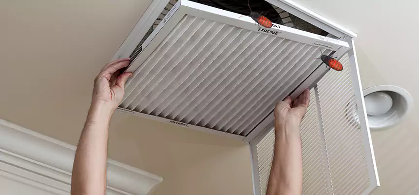 Preventive Cockroach-Proofing for Ducts in Seminole