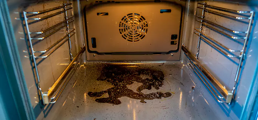 Our Dryer Vent Mold Cleaning Services in Seminole, FL