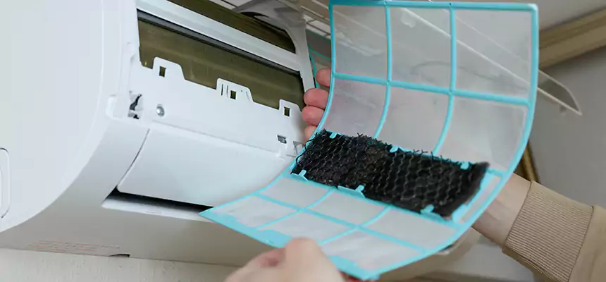 Gentle Ductwork Odor-Control Pet Dander Duct Cleaning in Seminole, FL