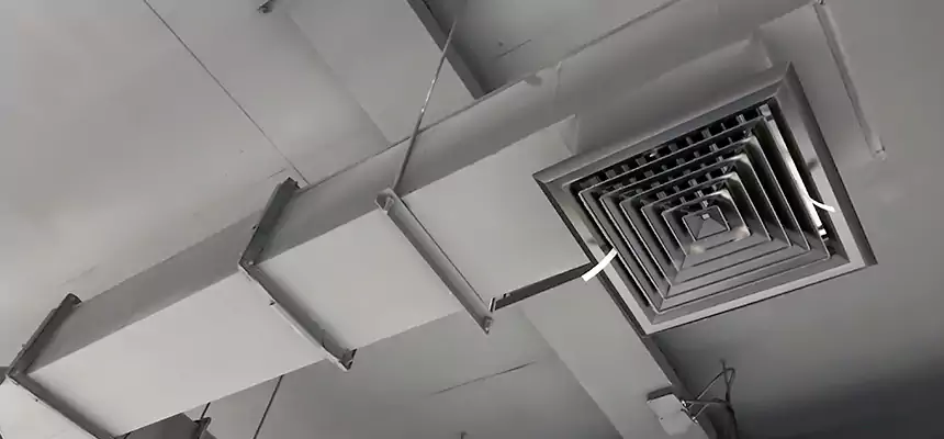 Our Rodent Droppings In Vents Services in Seminole, FL