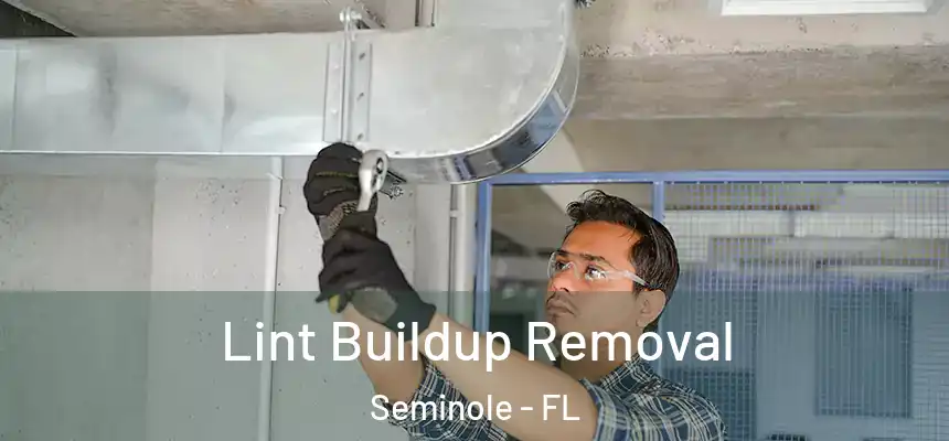 Lint Buildup Removal Seminole - FL