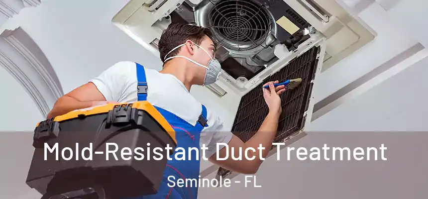 Mold-Resistant Duct Treatment Seminole - FL
