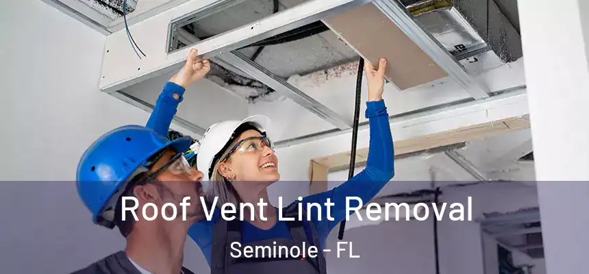 Roof Vent Lint Removal Seminole - FL