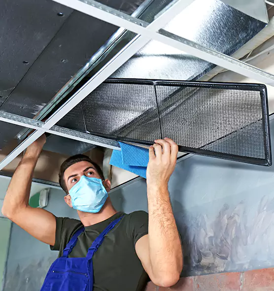 About Air Duct Bacteria Removal in Seminole