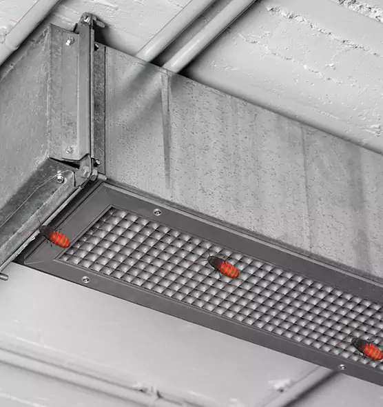 About Air Duct Cockroach Removal in Seminole, FL