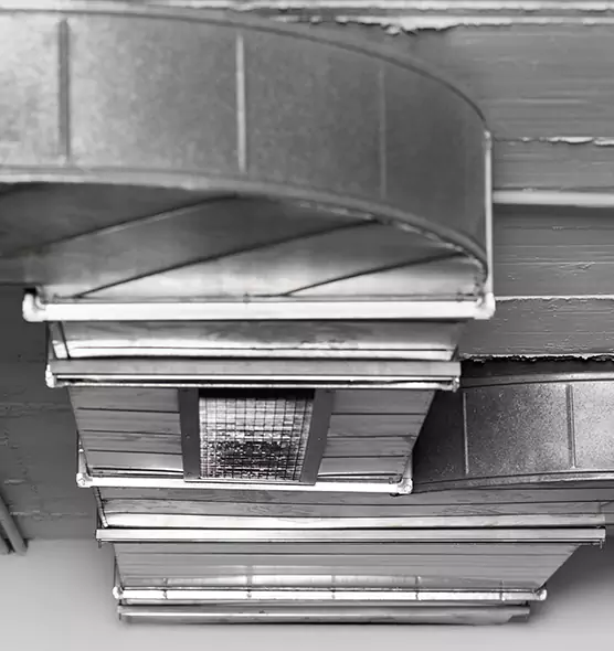 Professional Air Duct Pet Hair Removal in Seminole, FL