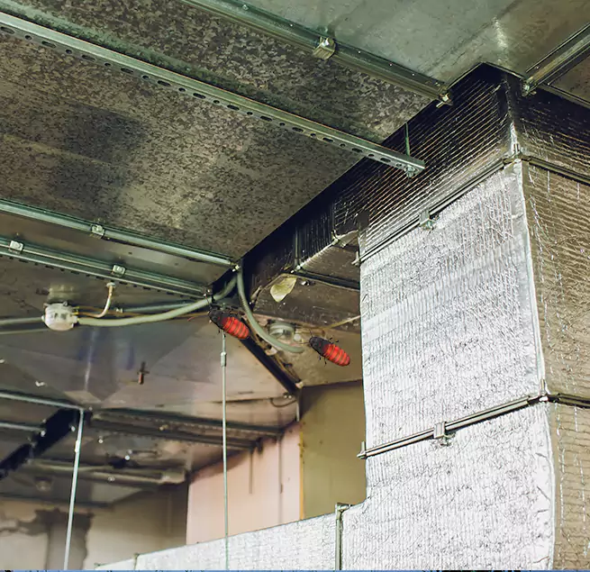 Why Homeowners & Businesses Trust Us in Seminole, FL?