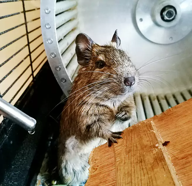 Why Homeowners & Businesses Trust Us Seminole, FL