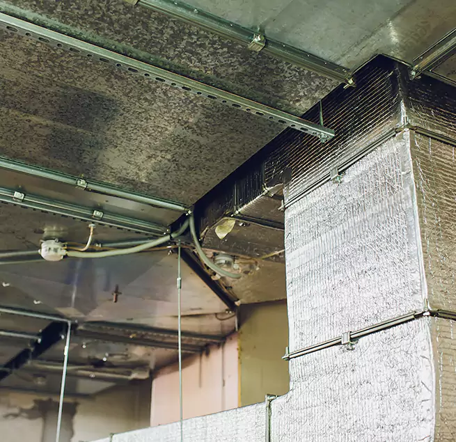 Why Homeowners & Businesses Trust Us in Seminole, FL?